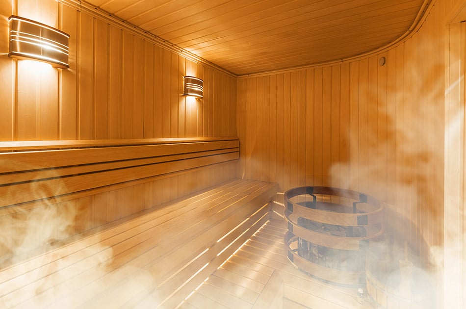 PuchasPlus Stegersbach Thermenhotel Sauna