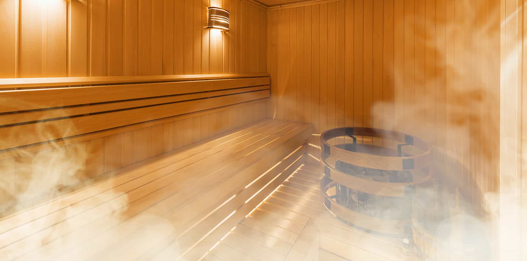 PuchasPlus Stegersbach Thermenhotel Sauna