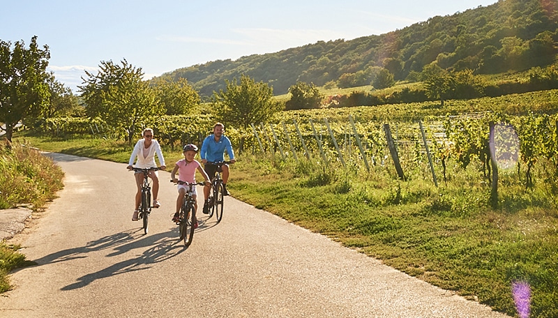 PuchasPlus Stegersbach Thermenhotel Radfahren